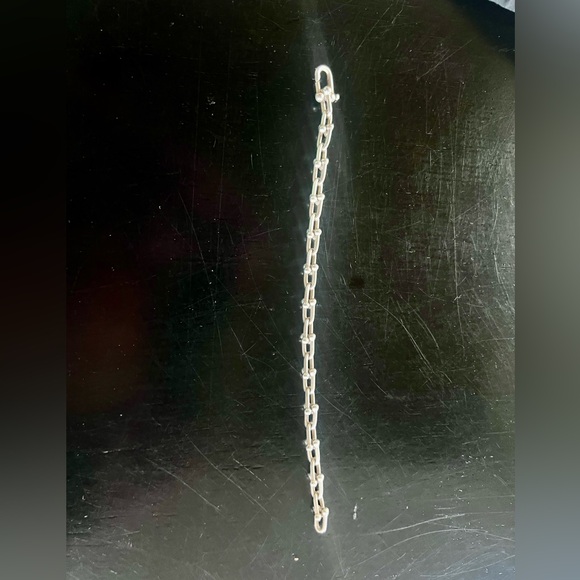 Authentic and Gorgeous Tiffany Hardware Small Chain Link Silver Bracelet! - Picture 6 of 7